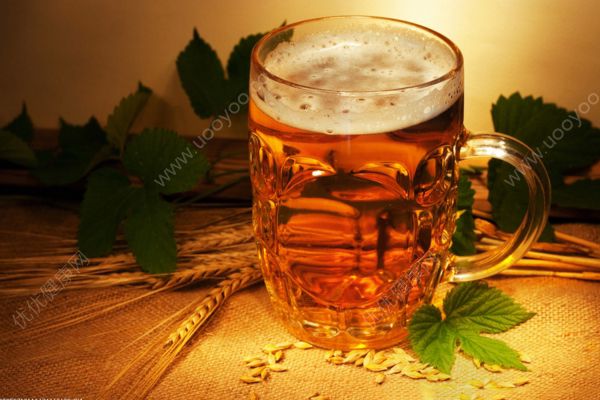 喝了啤酒后能喝奶茶嗎？喝啤酒后喝奶茶好嗎？(1)