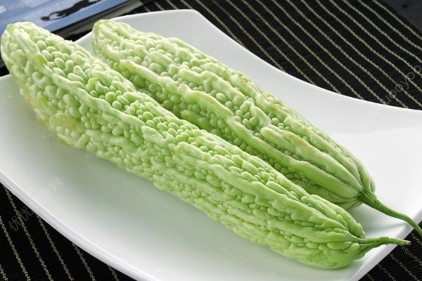 苦瓜可以生吃嗎？苦瓜生吃可以減肥嗎？(1)