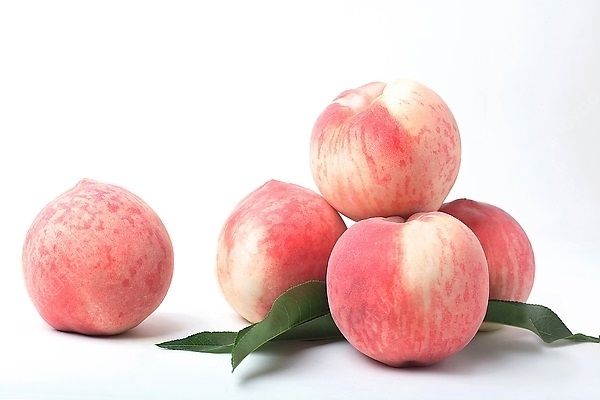 吃桃子為什么會(huì)過敏？吃桃子過敏怎么辦？(4)