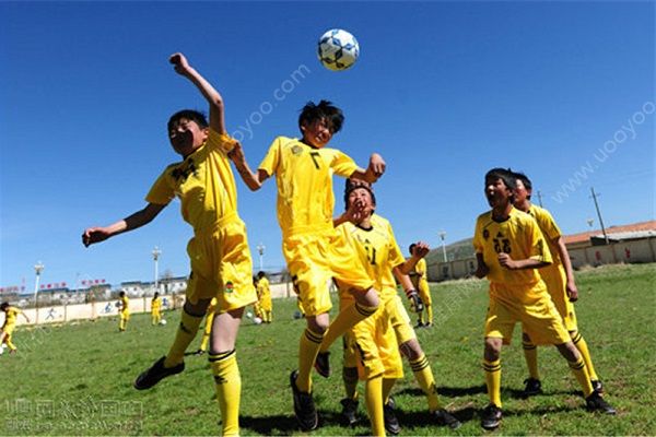 青少年要怎樣長高？青少年要長高多吃什么好？(4)