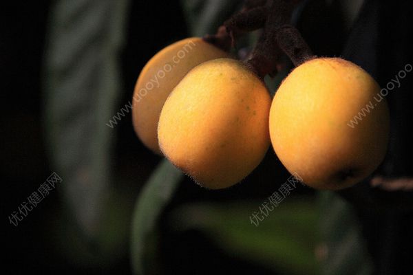 枇杷吃多了會怎么樣？枇杷吃多了會上火嗎？(4)