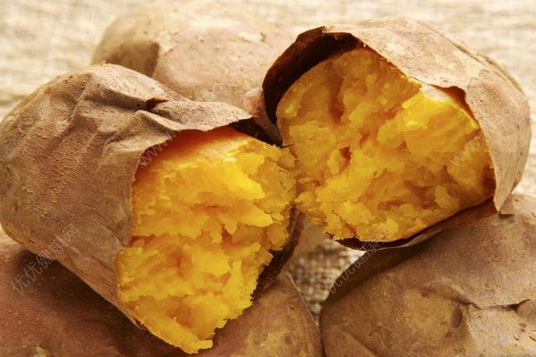 地瓜和紅薯能一起吃嗎？地瓜和紅薯可以一起吃嗎？(3)