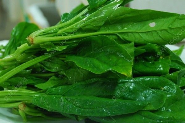 奶茶不能和什么同食？奶茶和什么不能一起吃？(3)