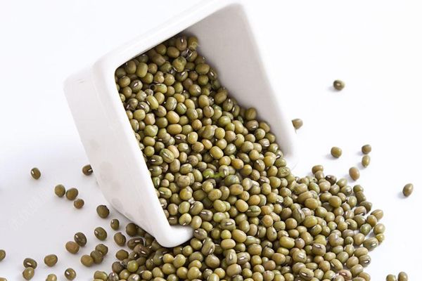 綠豆湯中可以加蜂蜜嗎？綠豆和蜂蜜能一起吃嗎？(3)