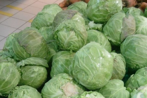 包菜為什么叫高麗菜？包菜和高麗國有什么關(guān)系？(2)