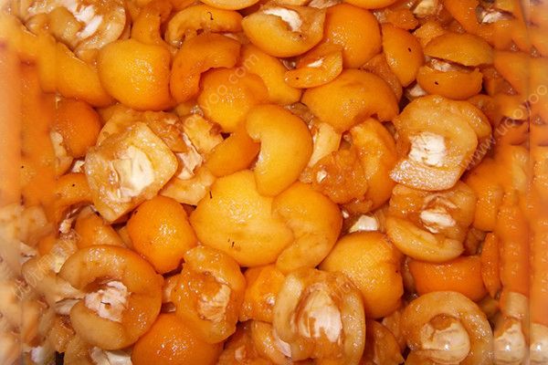 川貝枇杷膏小孩能吃嗎？川貝枇杷膏孕婦能吃嗎？(5)