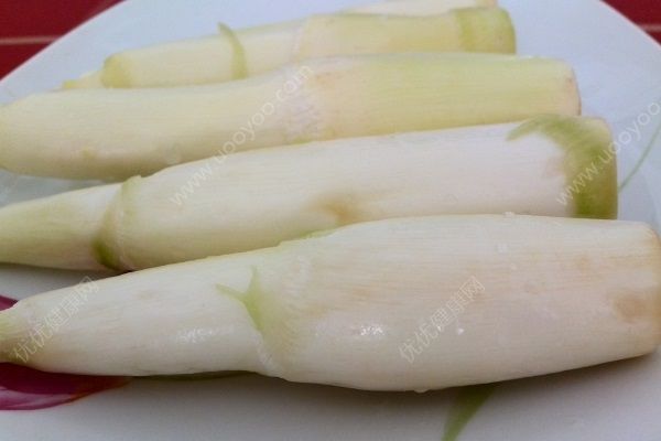 蜂蜜和什么相克？蜂蜜和什么不能一起吃？(6)