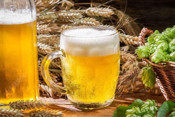 生啤酒和熟啤酒的區(qū)別是什么？生啤酒和熟啤酒哪個好？(2)