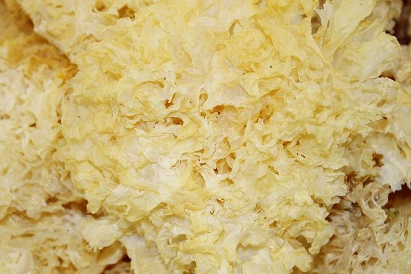 南瓜和銀耳可以一起做嗎？南瓜銀耳湯的好處？(3)