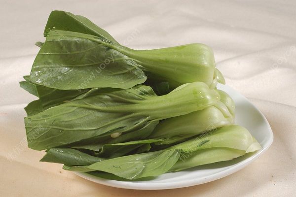 南瓜和油菜能一起吃嗎？南瓜和油菜一起吃好嗎？(3)