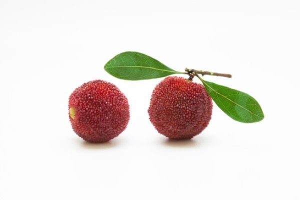 吃楊梅能喝茶嗎？吃楊梅喝茶好嗎？(1)