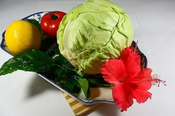 包菜是堿性食物嗎？包菜是酸性還是堿性？(4)