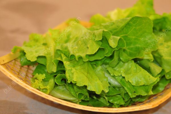 生菜是發(fā)物嗎？生菜與什么食物相克？(1)