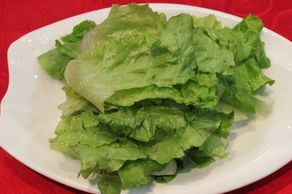 生菜是發(fā)物嗎？生菜與什么食物相克？(2)