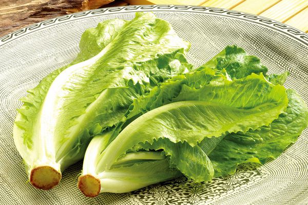 生菜如何保鮮？生菜如何保存？(1)
