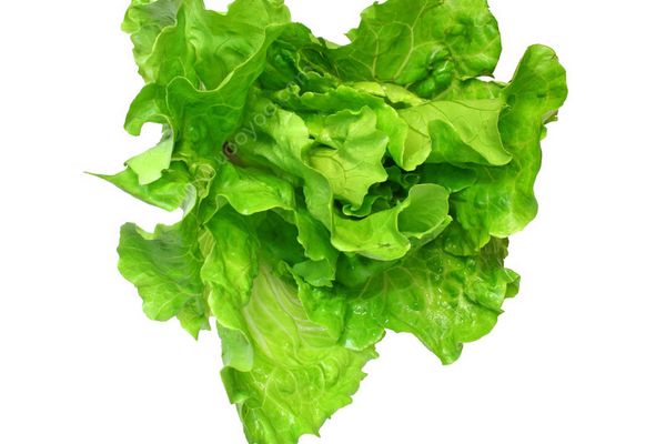 生菜如何保鮮？生菜如何保存？(2)
