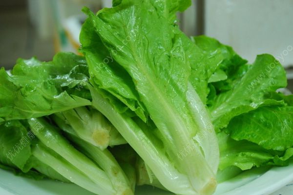 生菜在冰箱放久了能吃嗎？如何分辨生菜新不新鮮？(3)