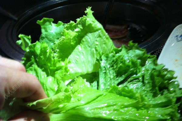 生菜在冰箱放久了能吃嗎？如何分辨生菜新不新鮮？(4)
