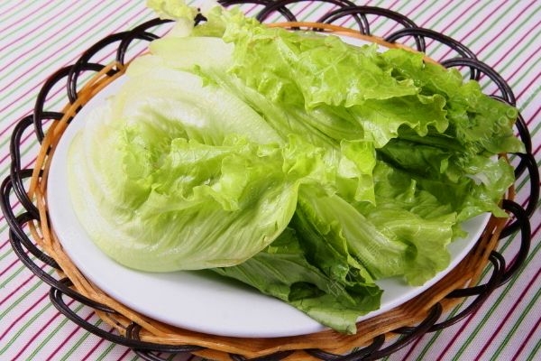 生菜的營養(yǎng)價值有哪些？生菜的功效與作用(2)