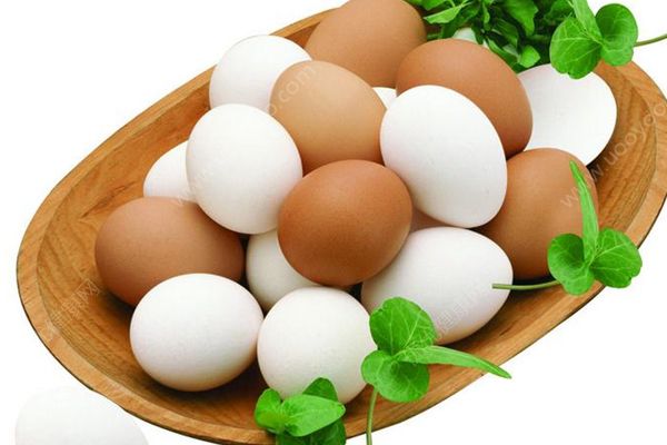 李子不能和什么一起吃？李子和什么同食不好？(2)