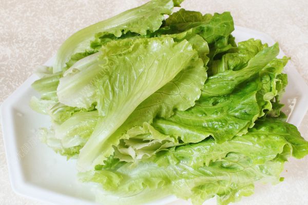 天天吃生菜好嗎？天天吃生菜能減肥嗎？(2)