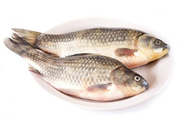 南瓜和鯽魚可以一起吃嗎？南瓜鯽魚可以同吃嗎？(3)