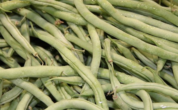 四季豆和番茄能一起吃嗎？西紅柿和四季豆同食好嗎？(1)