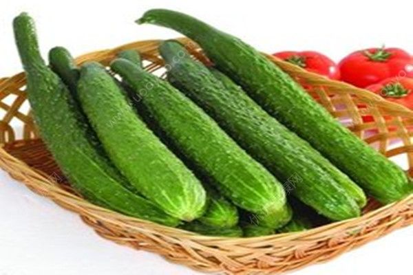 吃黃瓜對(duì)身體有什么好處？每天吃黃瓜的好處(3)