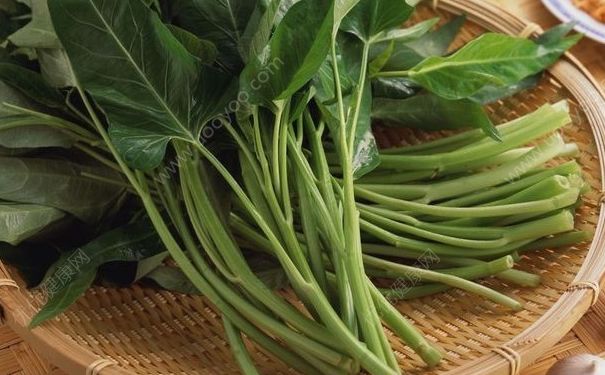 空心菜有什么營養(yǎng)？空心菜有什么功效？(2)