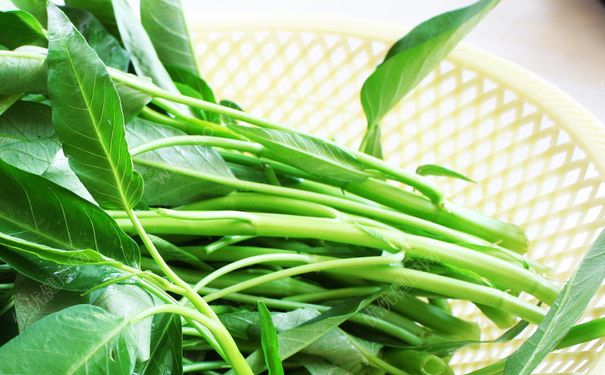 空心菜有什么營養(yǎng)？空心菜有什么功效？(5)