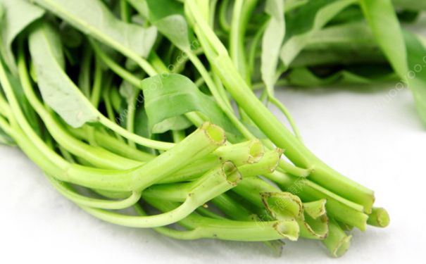 空心菜有什么營養(yǎng)？空心菜有什么功效？(6)