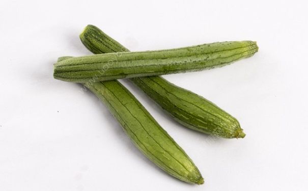 吃絲瓜會回奶嗎？哺乳期吃絲瓜會回奶嗎？(2)