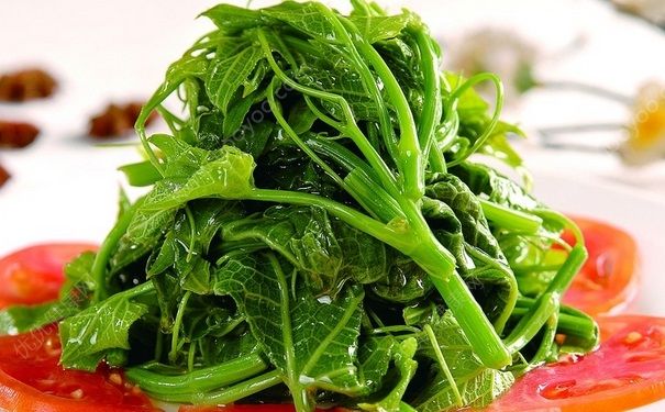 絲瓜藤可以吃嗎？絲瓜藤好不好吃？(2)