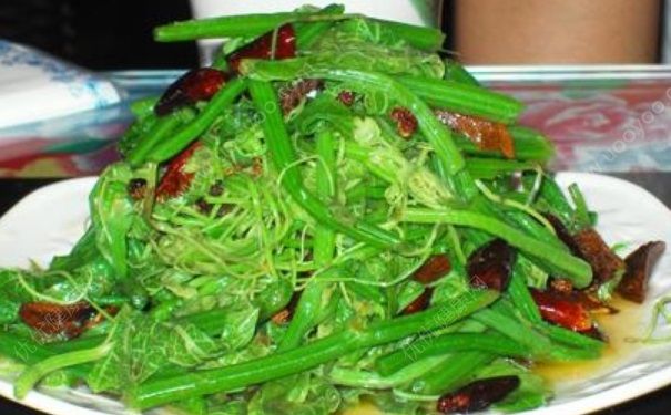 絲瓜藤可以吃嗎？絲瓜藤好不好吃？(4)