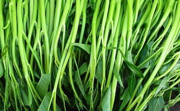 空心菜能多吃嗎？空心菜能天天吃嗎？(2)