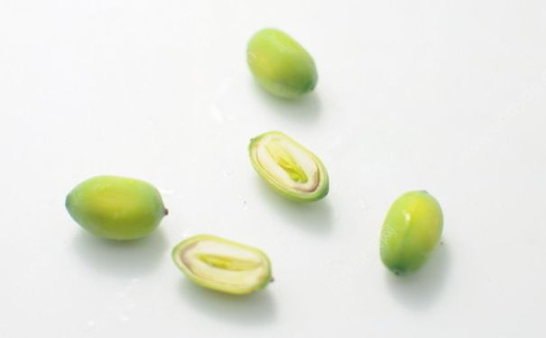蓮子里面有綠芽能吃嗎？蓮子里面長綠芽還能吃嗎？(1)