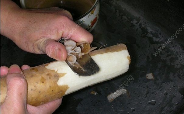 山藥去皮手癢怎么辦？山藥去皮為什么會(huì)手癢？(1)