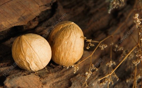 核桃可以和黃豆一起打豆?jié){嗎？核桃和黃豆能一起榨汁嗎？(1)