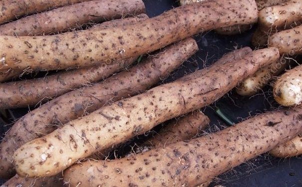 山藥為什么讓皮膚癢？切完山藥后皮膚癢怎么辦？(1)