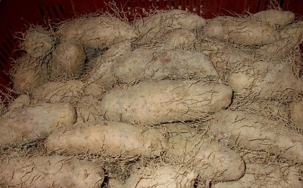 山藥外皮有霉點(diǎn)能吃嗎？山藥長(zhǎng)霉了還能吃嗎？(2)