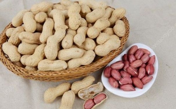 核桃和什么做豆?jié){最好？核桃豆?jié){的做法(2)