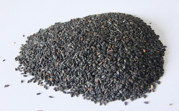黑芝麻治脫發(fā)嗎？吃黑芝麻能防脫發(fā)嗎？(4)