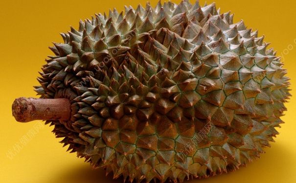 榴蓮好吃嗎？榴蓮是什么味道？(1)