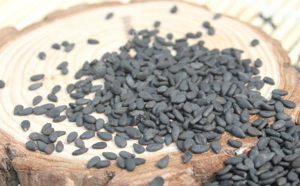芝麻會上火嗎？吃芝麻會不會上火？(2)