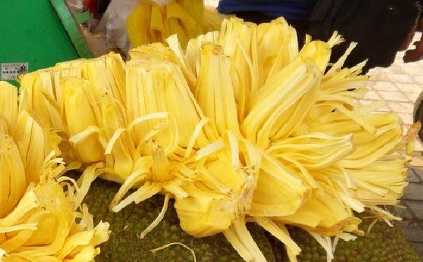 菠蘿蜜要放冰箱嗎？菠蘿蜜可以放冰箱嗎？(1)