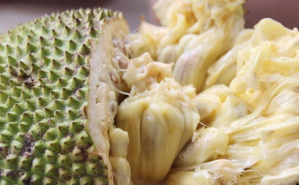 菠蘿蜜要放冰箱嗎？菠蘿蜜可以放冰箱嗎？(3)