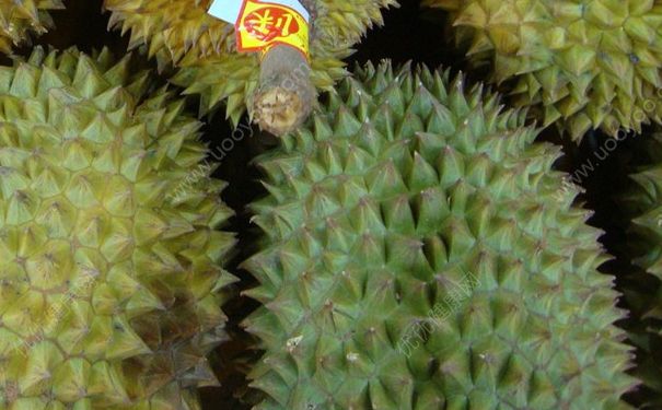 榴蓮怎么吃？榴蓮怎么吃不臭？(1)