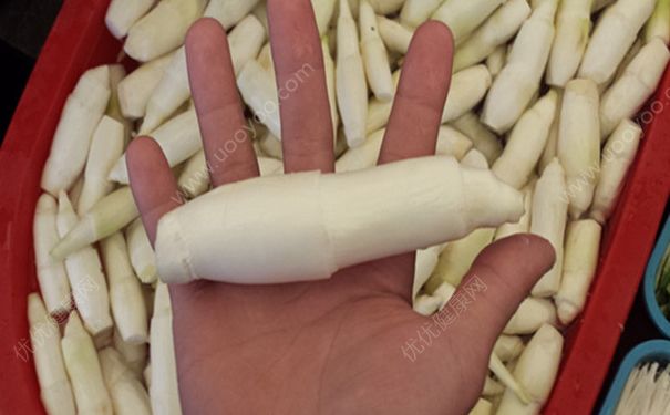 孕婦能吃茭白嗎？孕婦吃茭白好嗎？(2)