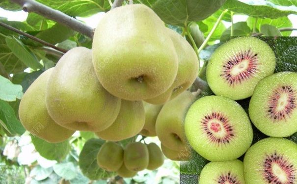 遠(yuǎn)離哪些惡習(xí)可以瘦腿提臀？減肥有哪些快速的小妙招？(1)