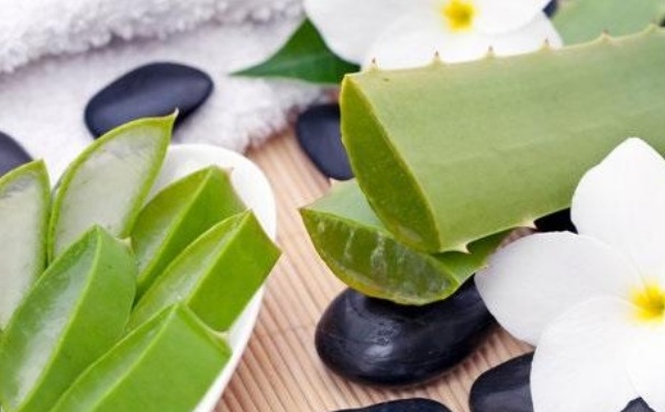 蘆薈面膜可以祛斑嗎？蘆薈面膜有祛斑的功效嗎？(1)